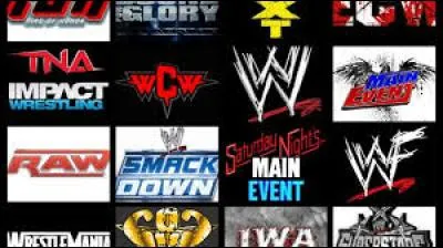 Quel est le nom de l'ancien show de la WWE ?