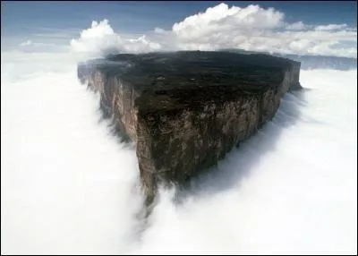 Le mont Roraima est une montagne d'Amérique du Sud partagée entre trois pays. Délimité par des falaises d'environ 1 000 mètres de hauteur, son plateau sommital présente un environnement totalement différent de la forêt tropicale humide et de la savane qui s'étendent à ses pieds. Quels sont les pays à se partager ce mont ?