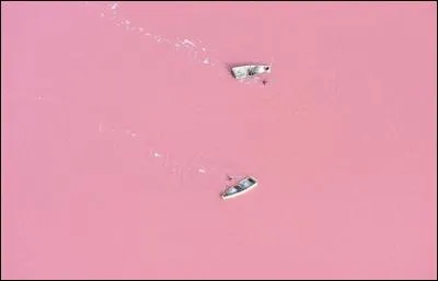 C'est un grand lagon, peu profond et entouré de dunes dont la couleur est due à une cyanobactérie (organisme microscopique) qui fabrique, surtout par temps de vent sec, un pigment rouge pour résister à la concentration de sel.
Mais où est situé ce lac et quel est son nom ?