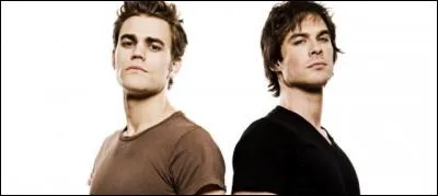 Que sont Stefan et Demon ?