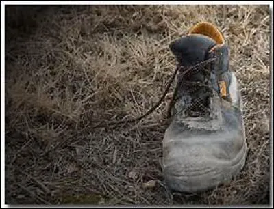 Les individus se déplacent à la recherche du sens de la vie. Qu'a vu et observé le poète, avec bienveillance ?