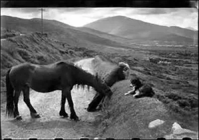 Comment considère-t-il ces personnes qui paraissent souvent ivres ou sont parfois alcooliques ?