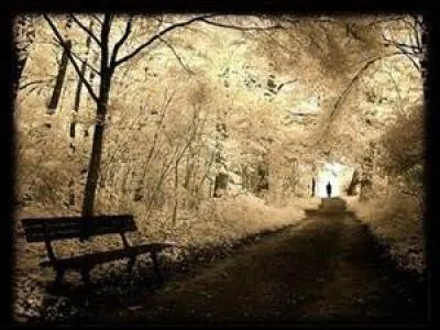 "Ils savent", les bien-pensants, ah oui, et que pensent-ils d'autre encore de TOUS CEUX qu'ils regardent passer ? !