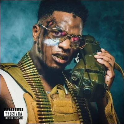 Qui est ce rappeur français qui a interprèté "Réseaux" ?