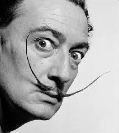 Salvador est le prénom du célèbre peintre Dali. C'est aussi le nom d'un...