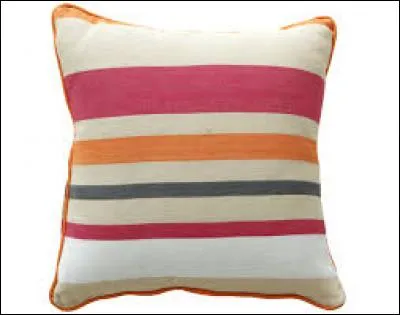 Un coussin est un sac cousu rembourré qui a une fonction de confort. C'est aussi le nom d'une confiserie...