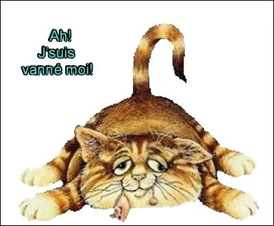 T'as fait quoi hier ? T'as l'air complètement détronché !