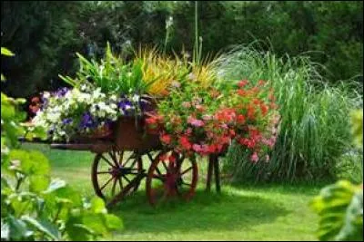 Les noms féminins se terminant par le son [é] et qui indiquent un contenu s'écrivent -ée.