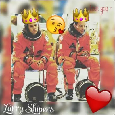 Pourquoi Louis et Harry ne sont-ils plus aussi proches qu'au début ?