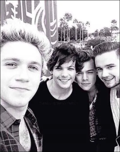 Pourquoi l'album s'appelle-t-il "Made in the AM" ?