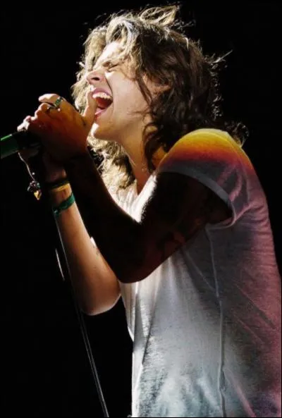 Que fait Harry sur scène ?