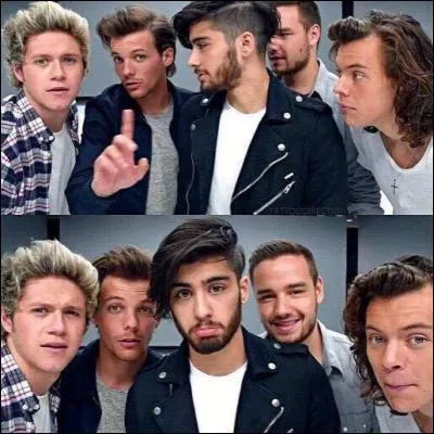 Comment s'appellent les bromances entre Harry et les boys ?