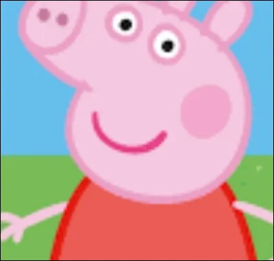 Que veut dire "pig" ?