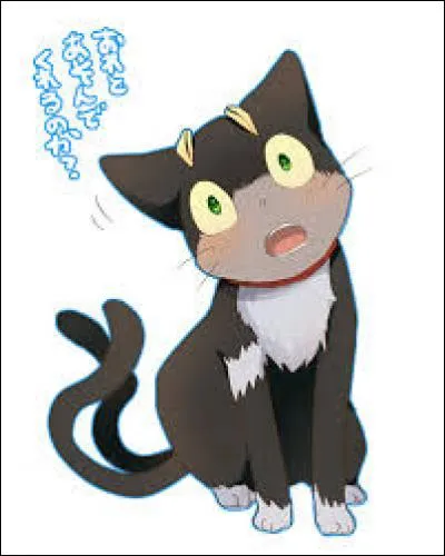 De quel anime fait-il/elle partie ?