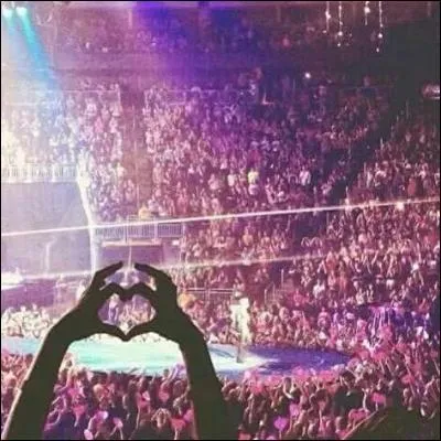 À quelles dates Justin passe-t-il en France pour le '''Purpose World Tour'' ?