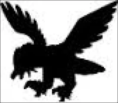 Quel est ce Pokmon ?