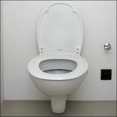 Détartrant WC > Là encore, de belles économies en perspective ! Il suffit d'y verser 1 litre de/d' ---- bouilli et le tour est joué ! (Complétez ! )