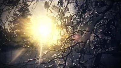 Qui chantait "Et le silence me répond en secret : Parker, j'ai l'impression de mourir" ?