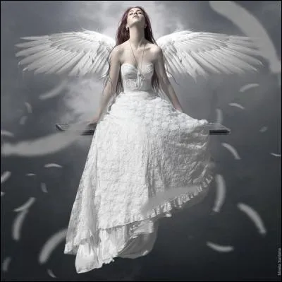 Qui chantait "L'écran floconne, y a plus personne" paroles de la chanson "Silence mes anges" ?