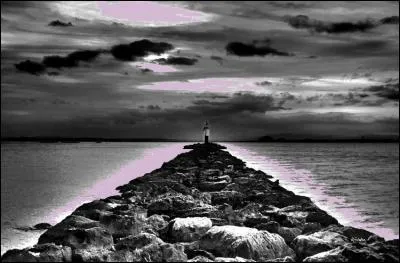 De qui est la chanson "Sound of silence" ?