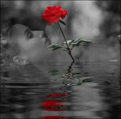 Qui interprète "Les roses de mon silence" ?