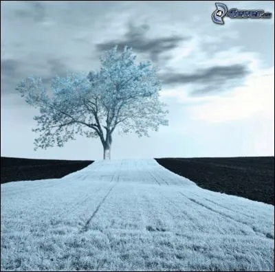 Qui chantait "On a parcouru les chemins, on a souffert en silence" ?