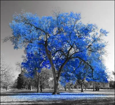 Qui chantait "Le vent d'hiver souffle en avril, j'aime le silence immobile d'une rencontre" ?