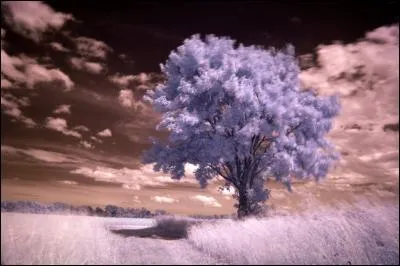Qui chantait " Le grand silence de ton absence n'en finit pas, et me voilà comme en prison, je vais je viens je tourne en rond, tu m'as tout donné, tu m'a tout repris..."