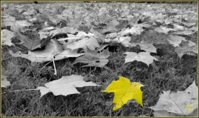 Qui chantait "J'te mentirais, mais à qui d'autre pourrais-je le dire, sans cette fois vraiment te trahir, le silence est parfois pire" ?