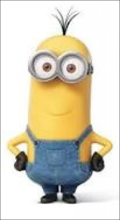 Quel est le nom de ce Minion ?