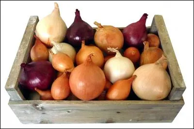 Dans la cuisine traditionnelle, le nom donné à une préparation à base d'oignon est :