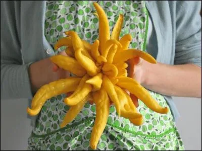 Mais que tient dans sa main cette femme ?