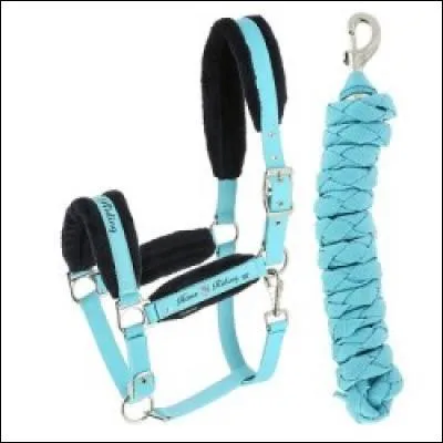 À quoi cela sert-il ?