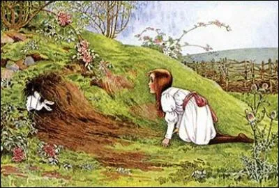 Quel animal entre dans le terrier ?