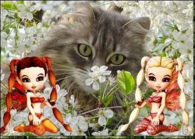 Une f&eacute;e est blonde. O&ugrave; est-elle ?