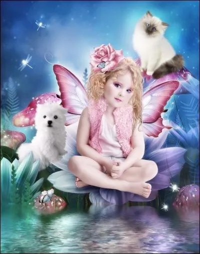 Le chat est assis &agrave; c&ocirc;t&eacute; du chien, &agrave; gauche de l'image.