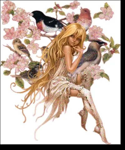 Combien d'oiseaux voit-on sur cette image ?