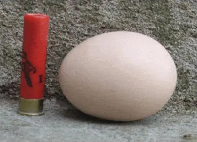 Tandis que celui-ci, légèrement teinté, est l'œuvre de la :