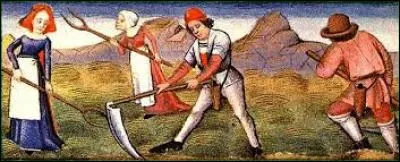 Quel nom donnait-on aux paysans libres ?