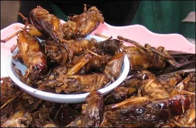 La consommation d'insectes est couramment pratiquée dans de nombreux pays. En occident, cette pratique suscite le dégoût. Toutefois, nous consommons des insectes de manière masquée, (500g par an).Dans quel aliment ?
