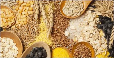 Les graines de céréales sont à la base de l'alimentation humaine depuis leur culture au néolithique. quelle est de ces trois céréales, la plus énergétique en Kilojoules ?