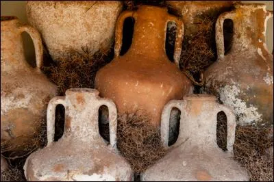 Les premières traces de consommation de vin ont été retrouvées à Babylone, 2000 ans avant JC.