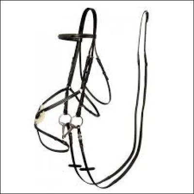 Quel est cet &eacute;quipement ?