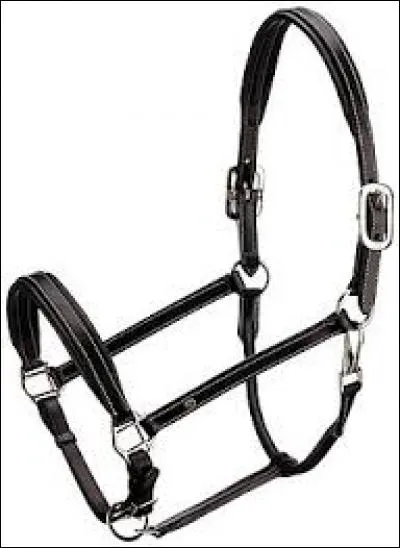 Quel est cet &eacute;quipement ?