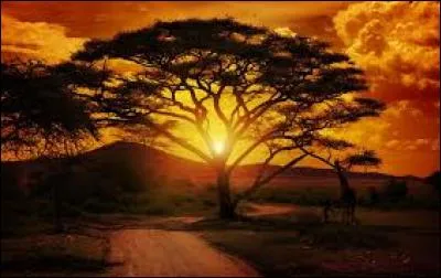 Lequel de ces pays a une frontière avec le Botswana ?