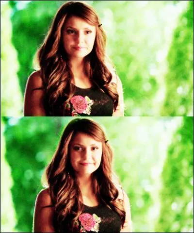 En quelle année s'est officialisé le couple Nian ?