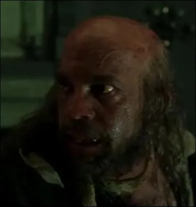 Comment le pirate ci-dessous appelle-t-il Elizabeth ?