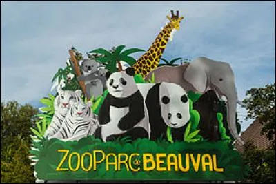 Au ZooParc de Beauval, &agrave; quoi peut-on assister ?