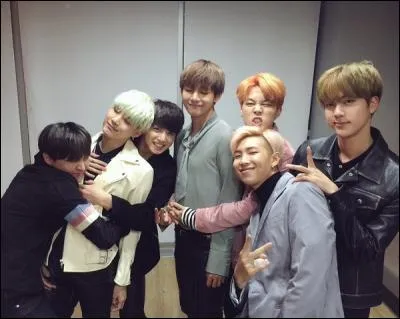 Dans quel clip les Bangtan Boys sont-ils apparus ?