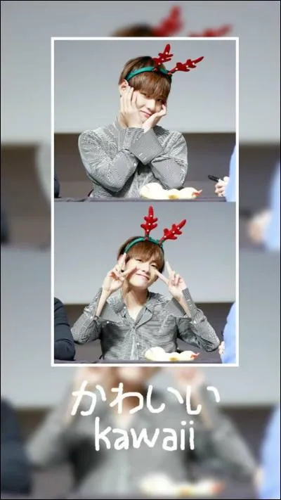 Le 12 juillet 2013 les BTS sortent un single intitulé...